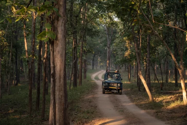 Eco Nature Discovery Camp Jim Corbett National Park 14 768x512