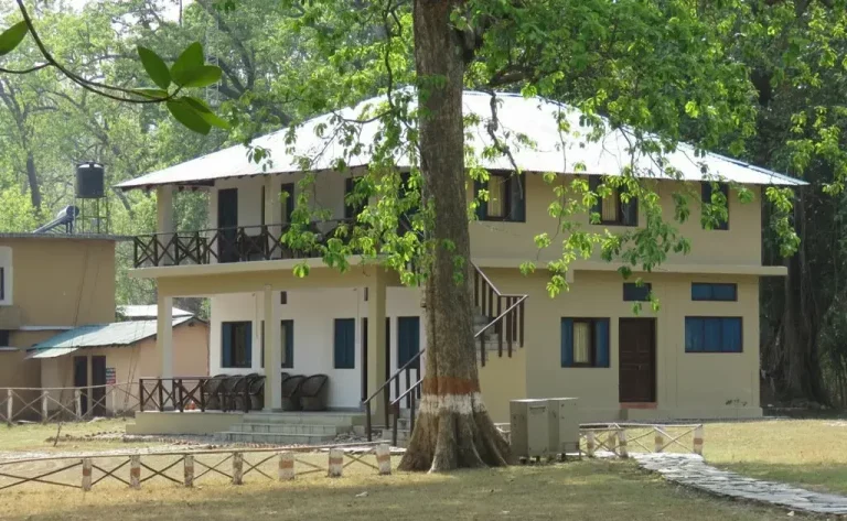 Eco Nature Discovery Camp Jim Corbett National Park 5 768x473