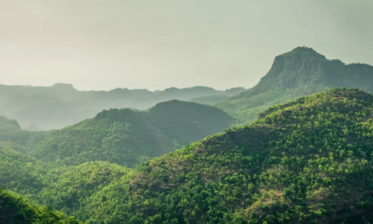 Magical Madhya Pradesh Tour Package 7 Nights 8 Days 4 768x461