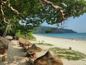 Ultimate Travel Guide to the Andaman and Nicobar Islands