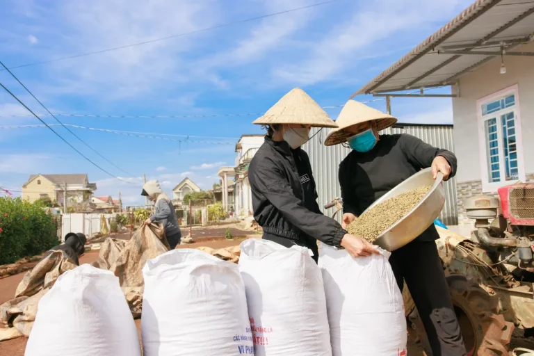 Vietnam Coffee and Pepper Plantation Tour 8 768x512