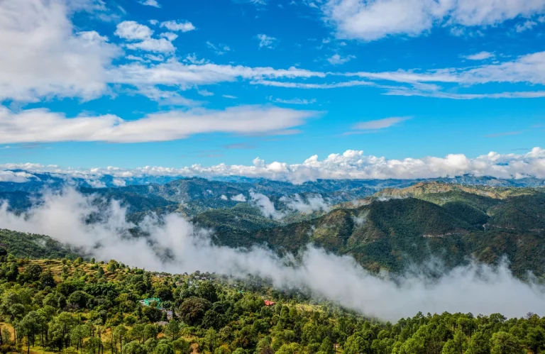 Kumaon Tour Package Nainital Ranikhet Kausani Jim Corbett 6 768x499