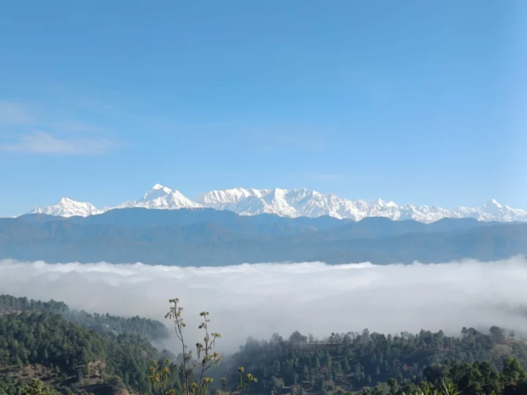 Kumaon Tour Package Nainital Ranikhet Kausani Jim Corbett 7 768x576