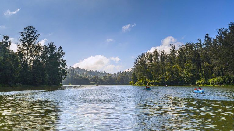 Mysore Coorg Ooty Package Tour 2 768x432