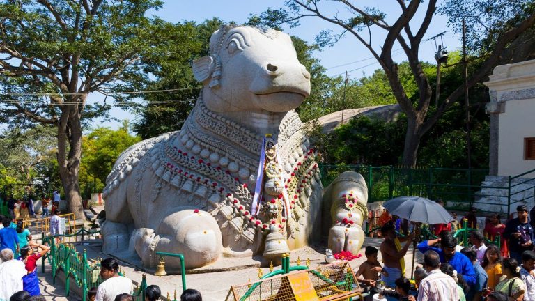 Mysore Coorg Ooty Package Tour 7 768x432