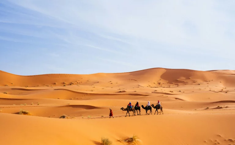 Rajasthan Tour Package Jaipur and Udaipur 8 768x474