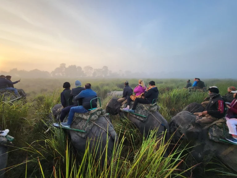 Shillong and Kaziranga Tour Package Women Only 8 768x576