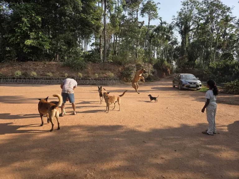 Agani Reserve Homestay Sakleshpur 14 768x576