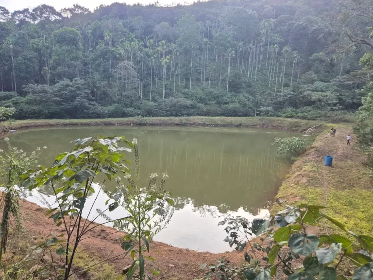 Agani Reserve Homestay Sakleshpur 5 768x576