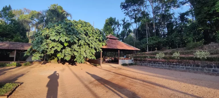 Agani Reserve Homestay Sakleshpur 9 768x345