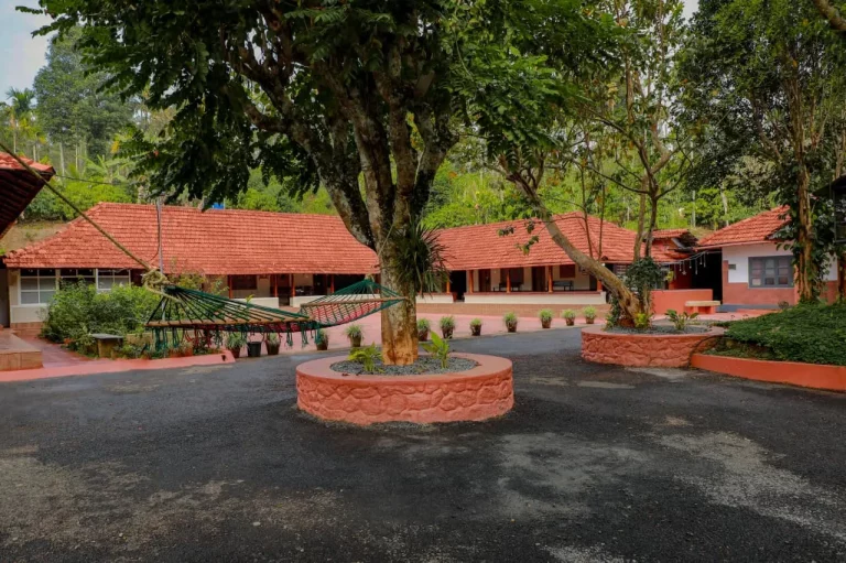 Kudajadri Drizzle Homestay Wayanad 1 768x511