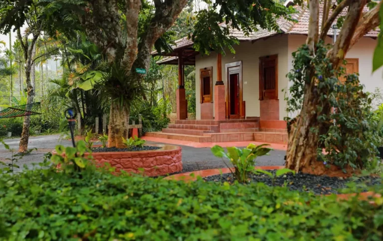 Kudajadri Drizzle Homestay Wayanad 12 768x483