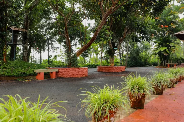 Kudajadri Drizzle Homestay Wayanad 22 768x512
