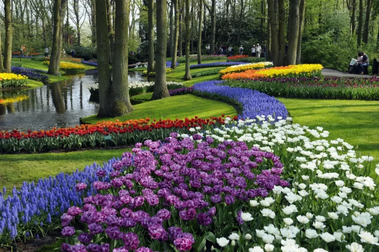 Amazing Europe Package Tour 11 Nights and 12 Days 3 768x510