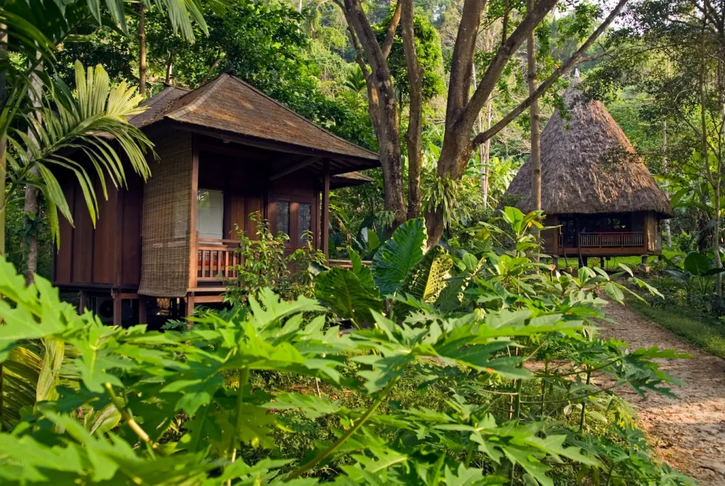 Barefoot at Havelock, Andaman Islands