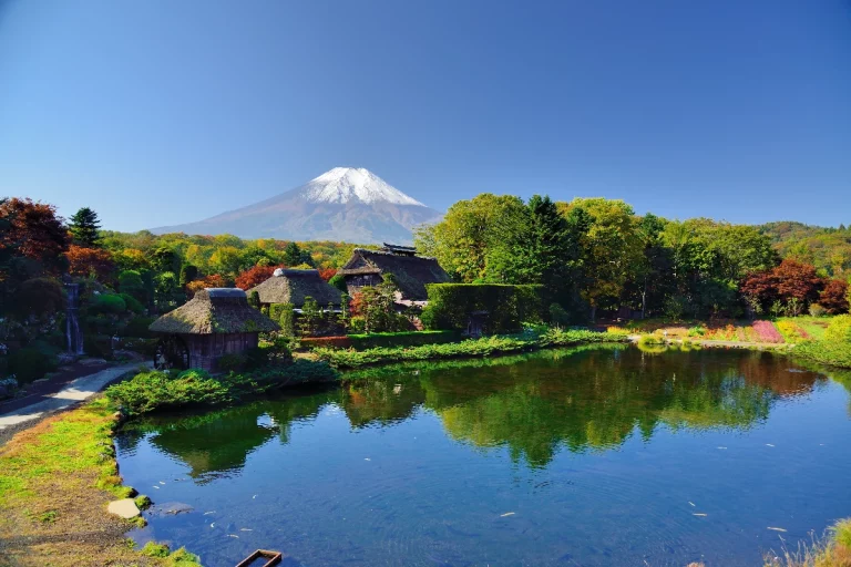 Blooming Japan Cherry Blossom Special Package Tour 17 768x512