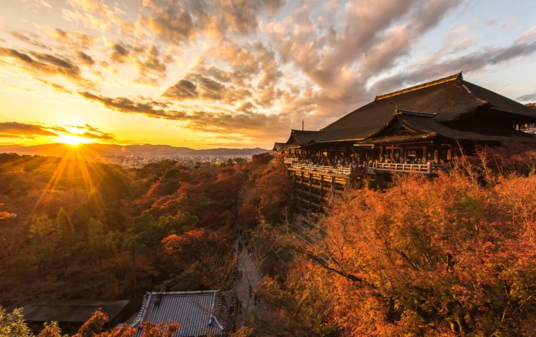Blooming Japan Cherry Blossom Special Package Tour 8 768x483