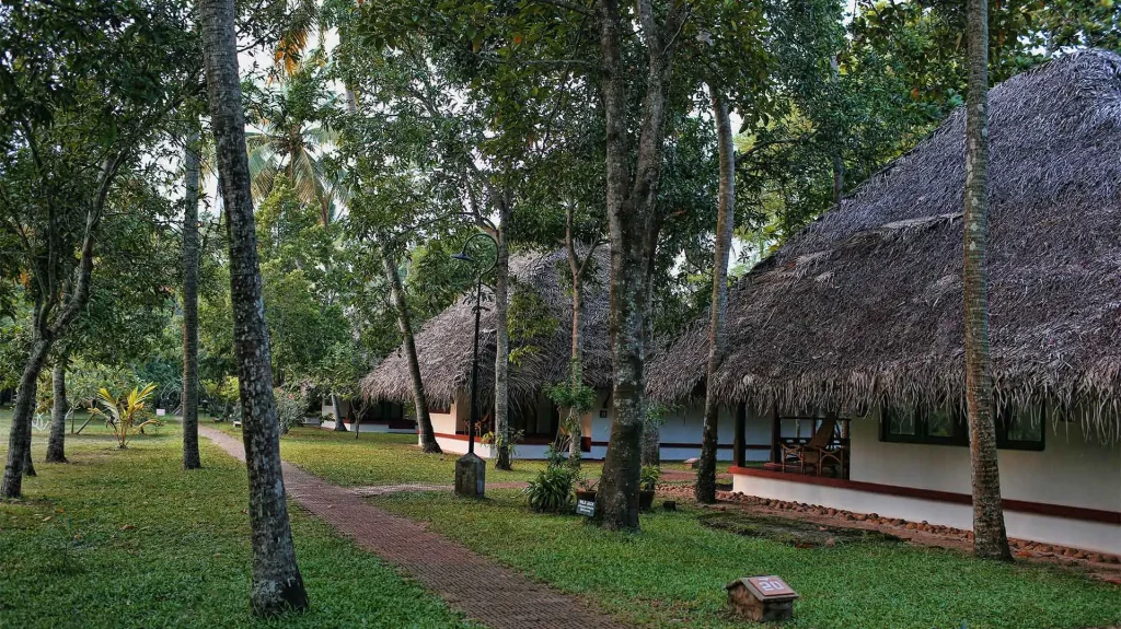 CGH Earthโs Marari Beach, Kerala