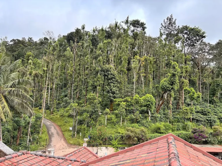 Cliff Haven Homestay Chikmagalur 1 768x576