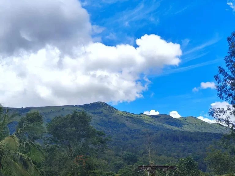 Cliff Haven Homestay Chikmagalur 17 768x576