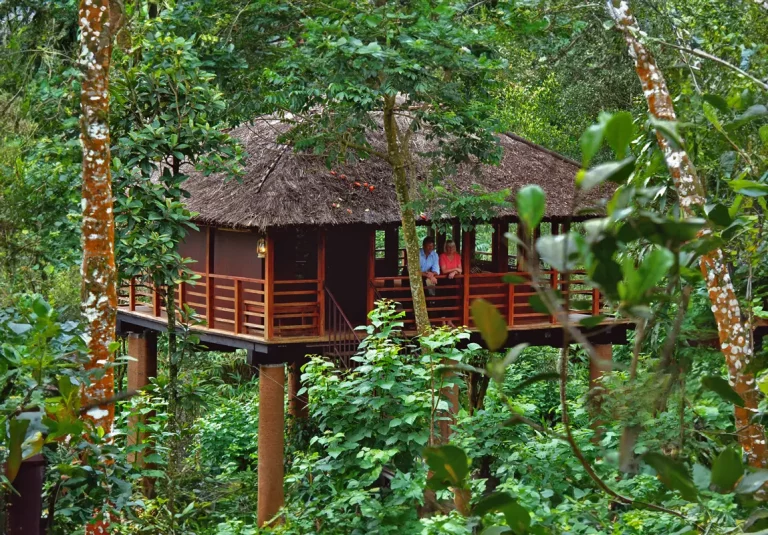 Ezhupunna Cochin Vagamon Vandanmedu Thekkady Package Tour 2 768x535