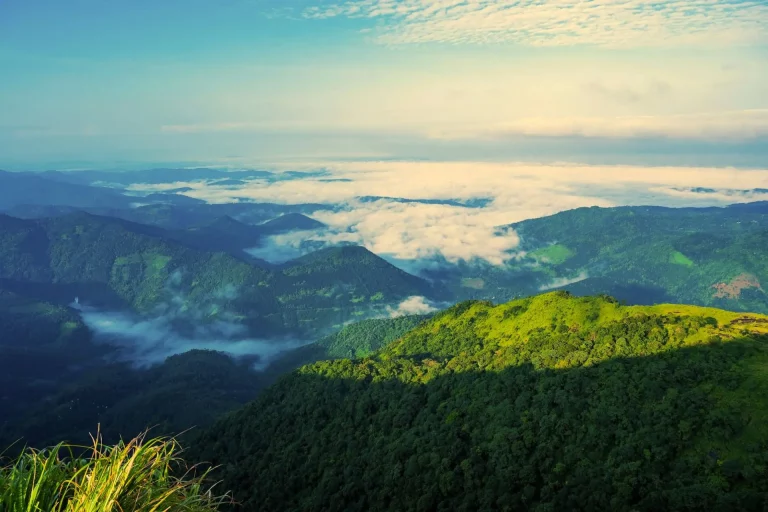 Ezhupunna Cochin Vagamon Vandanmedu Thekkady Package Tour 3 768x512