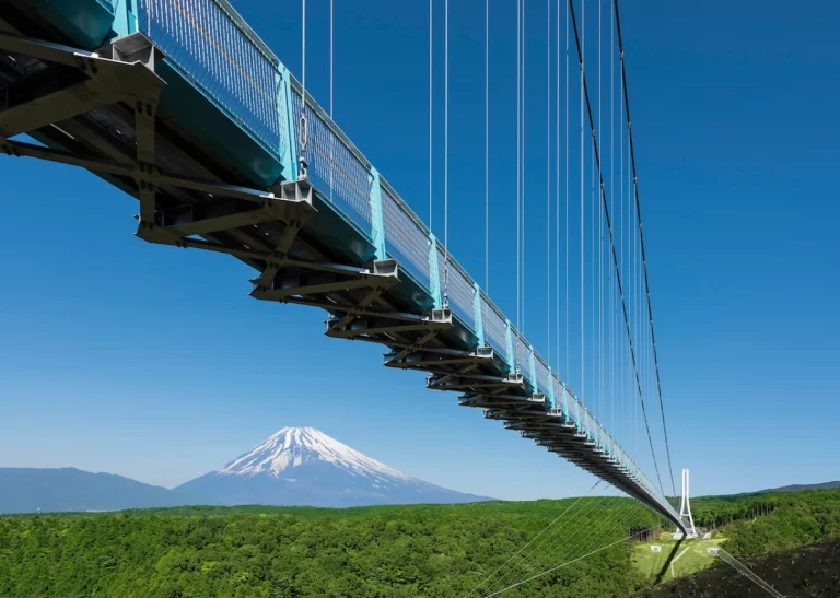 Highlights Of Japan Package Tour 6 Nights and 7 Days 4 768x547