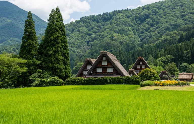 Japan Alpine Trail Package Tour 9 Nights and 10 Days 15 768x492
