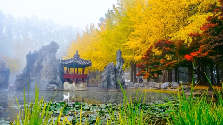 South Korea Signature Journey Package Tour 11 768x432