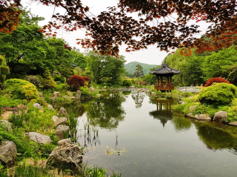 South Korea Signature Journey Package Tour 7 768x576