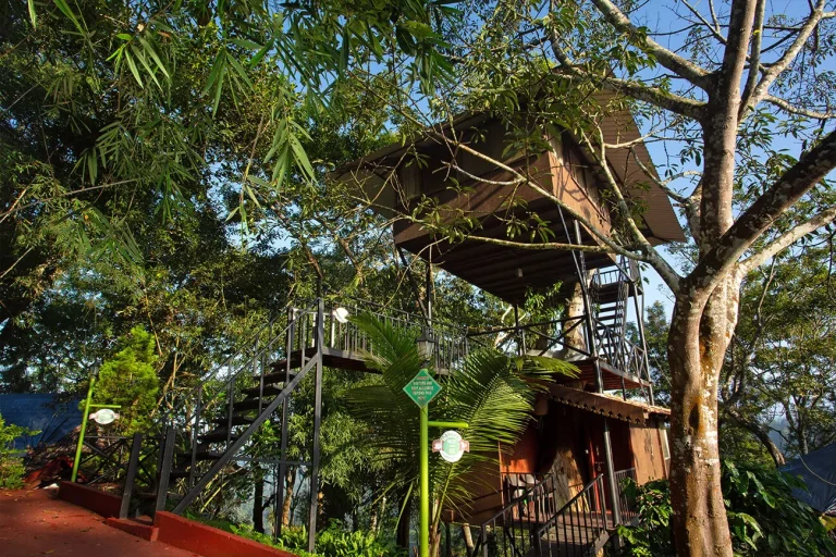Porcupine Castle Resort 16 768x512