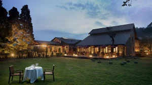 Weekend Getaways from Bangalore for Couples: 12 Romantic Escapes for Every Couple (2026 Guide)